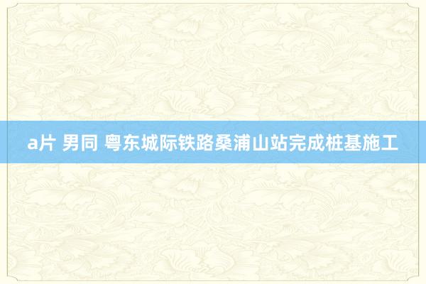 a片 男同 粤东城际铁路桑浦山站完成桩基施工