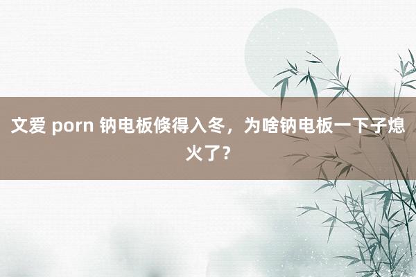 文爱 porn 钠电板倏得入冬，为啥钠电板一下子熄火了？