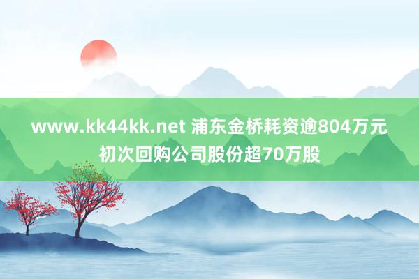 www.kk44kk.net 浦东金桥耗资逾804万元初次回购公司股份超70万股