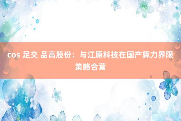 cos 足交 品高股份：与江原科技在国产算力界限策略合营