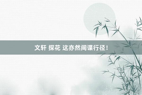 文轩 探花 这亦然间谍行径！