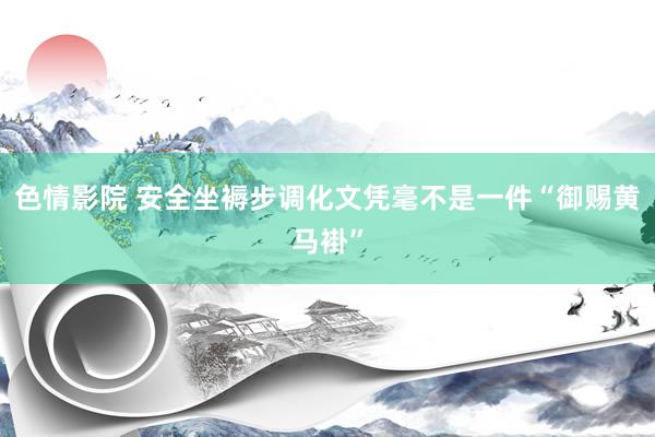 色情影院 安全坐褥步调化文凭毫不是一件“御赐黄马褂”