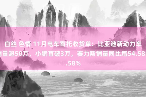 白丝 色情 11月电车寄托收货单：比亚迪新动力车销量超50万，小鹏首破3万，赛力斯销量同比增54.58%