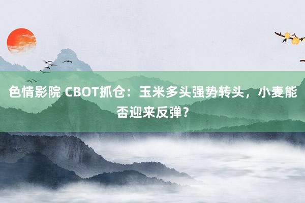 色情影院 CBOT抓仓：玉米多头强势转头，小麦能否迎来反弹？