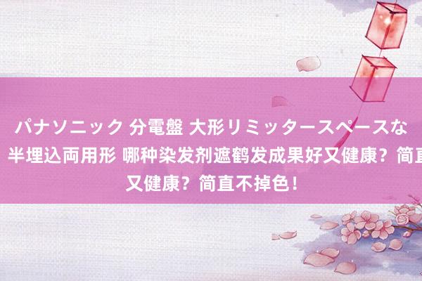 パナソニック 分電盤 大形リミッタースペースなし 露出・半埋込両用形 哪种染发剂遮鹤发成果好又健康？简直不掉色！