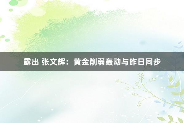露出 张文辉：黄金削弱轰动与昨日同步
