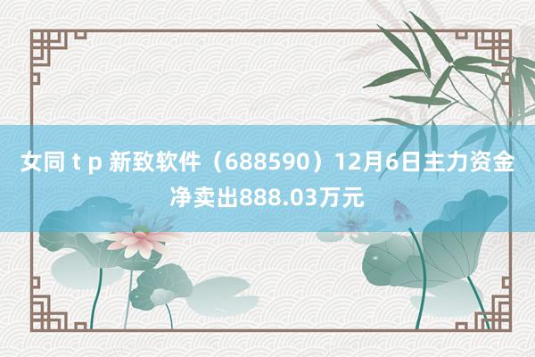 女同 t p 新致软件（688590）12月6日主力资金净卖出888.03万元