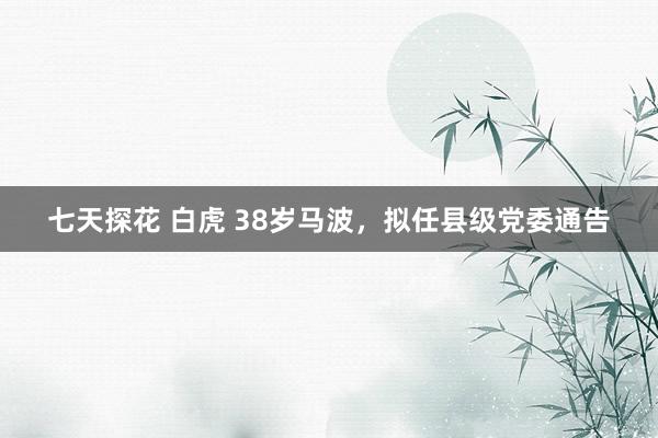 七天探花 白虎 38岁马波，拟任县级党委通告