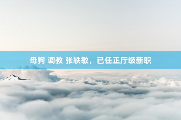 母狗 调教 张轶敏，已任正厅级新职
