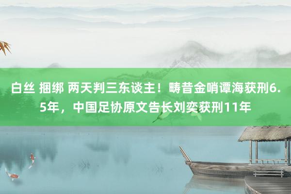 白丝 捆绑 两天判三东谈主！畴昔金哨谭海获刑6.5年，中国足协原文告长刘奕获刑11年