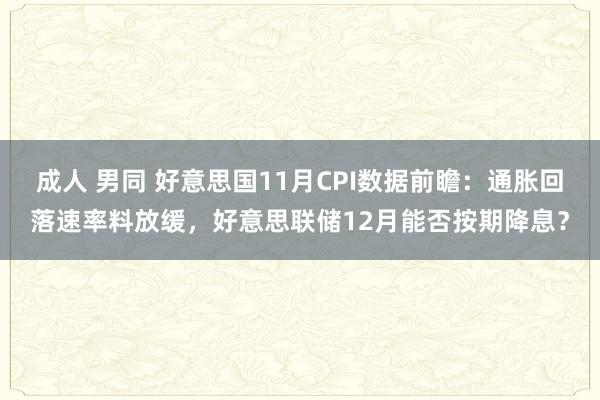 成人 男同 好意思国11月CPI数据前瞻：通胀回落速率料放缓，好意思联储12月能否按期降息？