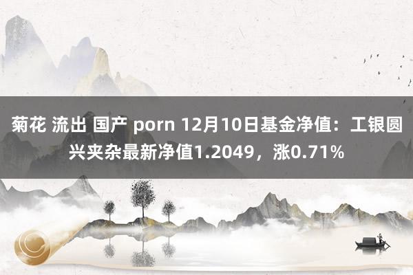 菊花 流出 国产 porn 12月10日基金净值：工银圆兴夹杂最新净值1.2049，涨0.71%