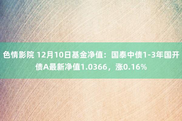 色情影院 12月10日基金净值：国泰中债1-3年国开债A最新净值1.0366，涨0.16%