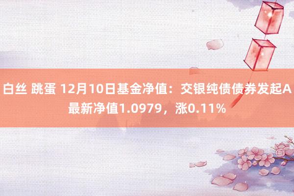 白丝 跳蛋 12月10日基金净值：交银纯债债券发起A最新净值1.0979，涨0.11%