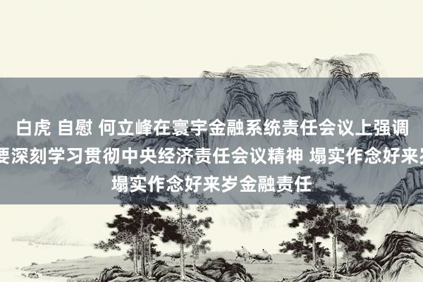 白虎 自慰 何立峰在寰宇金融系统责任会议上强调 金融系统要深刻学习贯彻中央经济责任会议精神 塌实作念好来岁金融责任