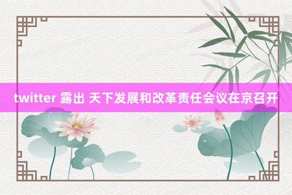 twitter 露出 天下发展和改革责任会议在京召开
