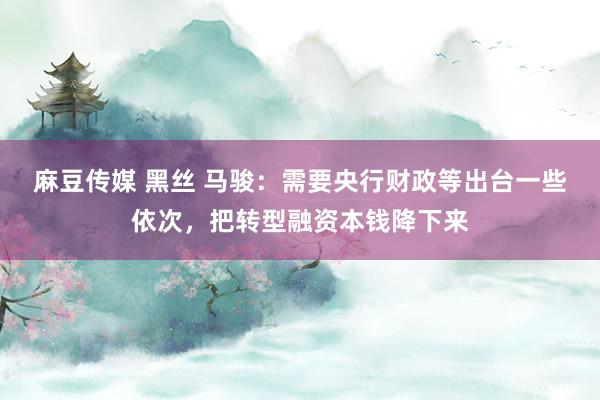 麻豆传媒 黑丝 马骏:需要央行财政等出台一些依次,把转型融资本钱降下来