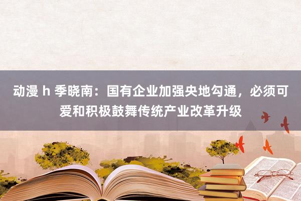 动漫 h 季晓南：国有企业加强央地勾通，必须可爱和积极鼓舞传统产业改革升级