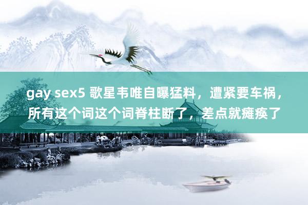 gay sex5 歌星韦唯自曝猛料，遭紧要车祸，所有这个词这个词脊柱断了，差点就瘫痪了