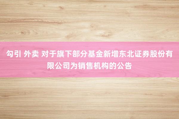 勾引 外卖 对于旗下部分基金新增东北证券股份有限公司为销售机构的公告
