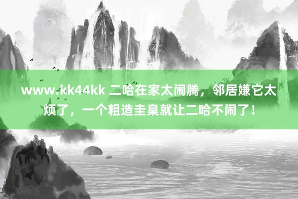 www.kk44kk 二哈在家太闹腾，邻居嫌它太烦了，一个粗造圭臬就让二哈不闹了！