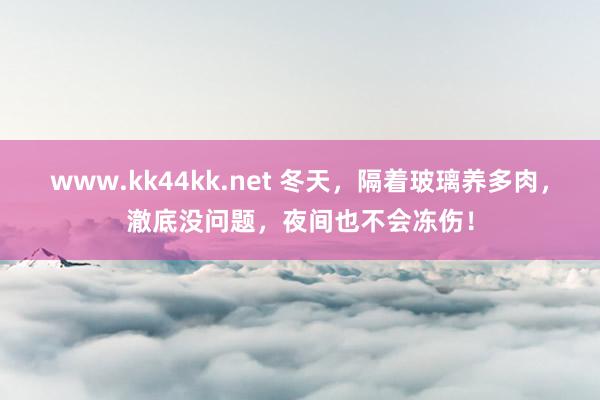 www.kk44kk.net 冬天，隔着玻璃养多肉，澈底没问题，夜间也不会冻伤！