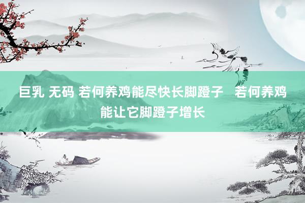 巨乳 无码 若何养鸡能尽快长脚蹬子   若何养鸡能让它脚蹬子增长