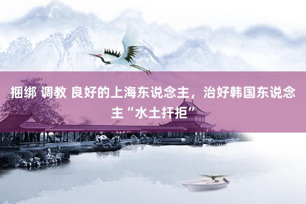 捆绑 调教 良好的上海东说念主，治好韩国东说念主“水土扞拒”