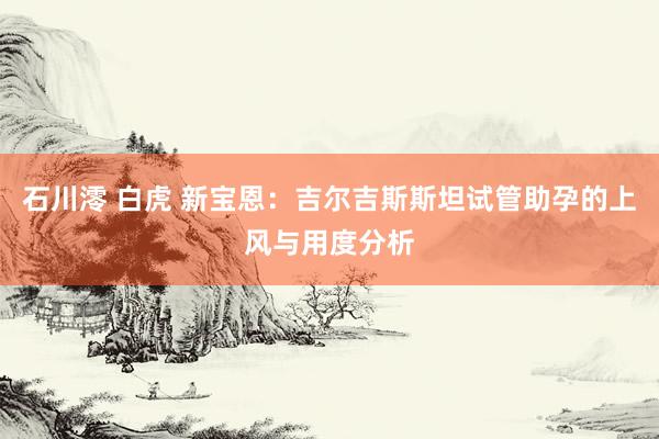 石川澪 白虎 新宝恩：吉尔吉斯斯坦试管助孕的上风与用度分析