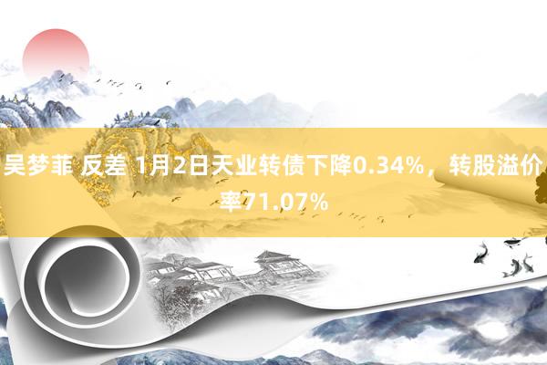 吴梦菲 反差 1月2日天业转债下降0.34%，转股溢价率71.07%