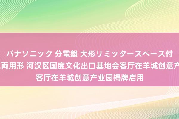 パナソニック 分電盤 大形リミッタースペース付 露出・半埋込両用形 河汉区国度文化出口基地会客厅在羊城创意产业园揭牌启用