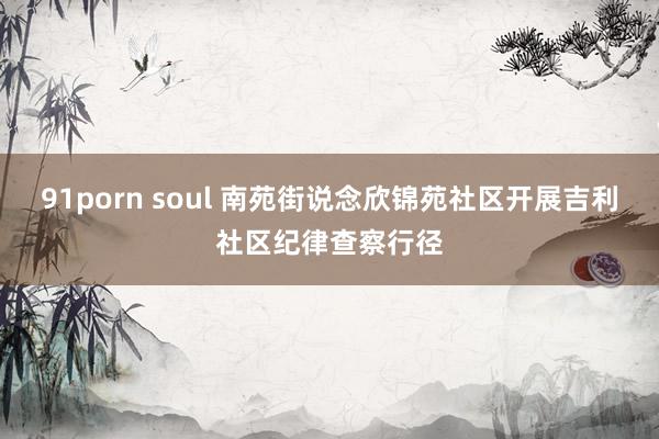 91porn soul 南苑街说念欣锦苑社区开展吉利社区纪律查察行径