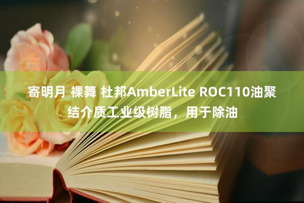 寄明月 裸舞 杜邦AmberLite ROC110油聚结介质工业级树脂，用于除油