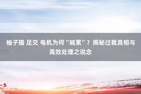 柚子猫 足交 电机为何“喊累”？揭秘过载真相与高效处理之说念