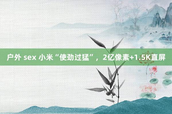 户外 sex 小米“使劲过猛”，2亿像素+1.5K直屏