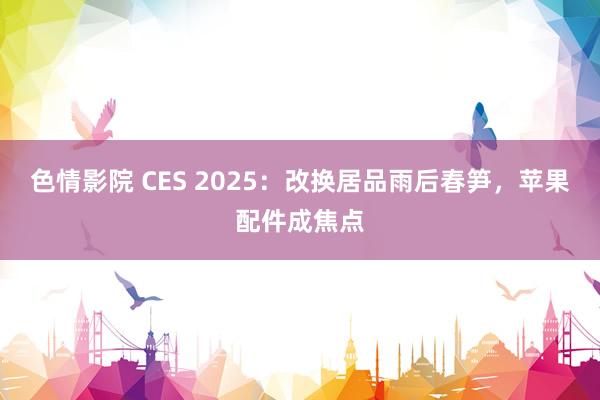 色情影院 CES 2025：改换居品雨后春笋，苹果配件成焦点