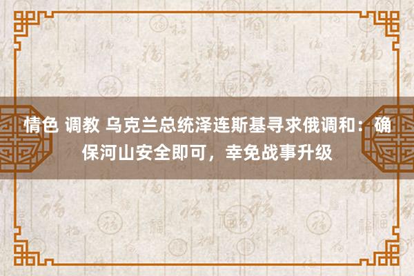 情色 调教 乌克兰总统泽连斯基寻求俄调和：确保河山安全即可，幸免战事升级