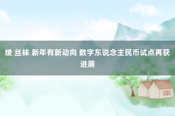 绫 丝袜 新年有新动向 数字东说念主民币试点再获进展