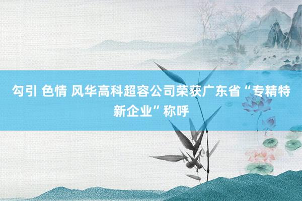 勾引 色情 风华高科超容公司荣获广东省“专精特新企业”称呼