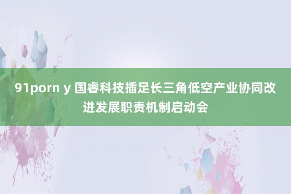 91porn y 国睿科技插足长三角低空产业协同改进发展职责机制启动会