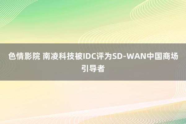 色情影院 南凌科技被IDC评为SD-WAN中国商场引导者