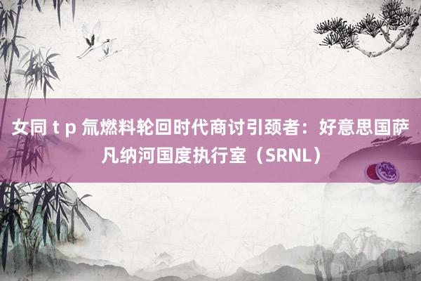 女同 t p 氚燃料轮回时代商讨引颈者：好意思国萨凡纳河国度执行室（SRNL）