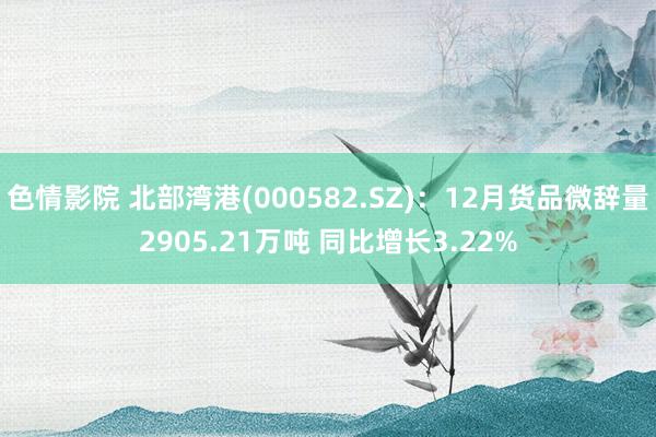 色情影院 北部湾港(000582.SZ)：12月货品微辞量2905.21万吨 同比增长3.22%