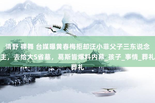 清野 裸舞 台媒曝黄春梅拒却汪小菲父子三东说念主，去给大S省墓，葛斯皆爆料内幕_孩子_事情_葬礼