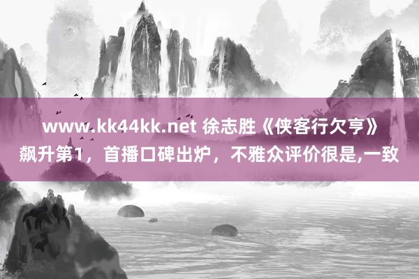 www.kk44kk.net 徐志胜《侠客行欠亨》飙升第1，首播口碑出炉，不雅众评价很是，一致