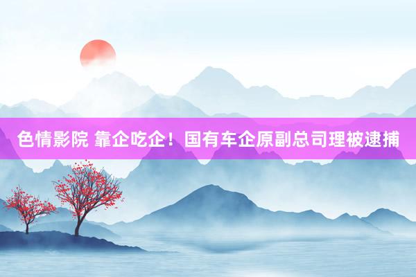 色情影院 靠企吃企！国有车企原副总司理被逮捕