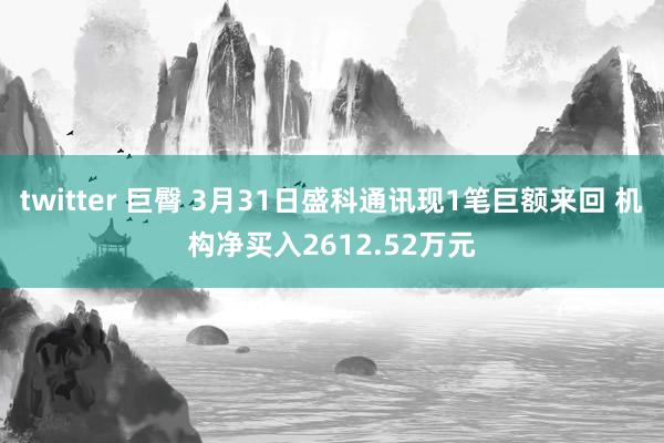 twitter 巨臀 3月31日盛科通讯现1笔巨额来回 机构净买入2612.52万元