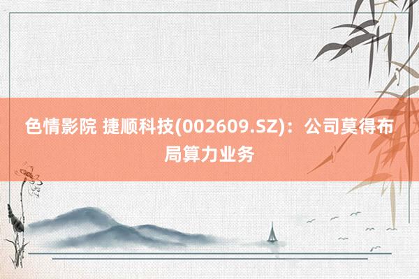 色情影院 捷顺科技(002609.SZ)：公司莫得布局算力业务